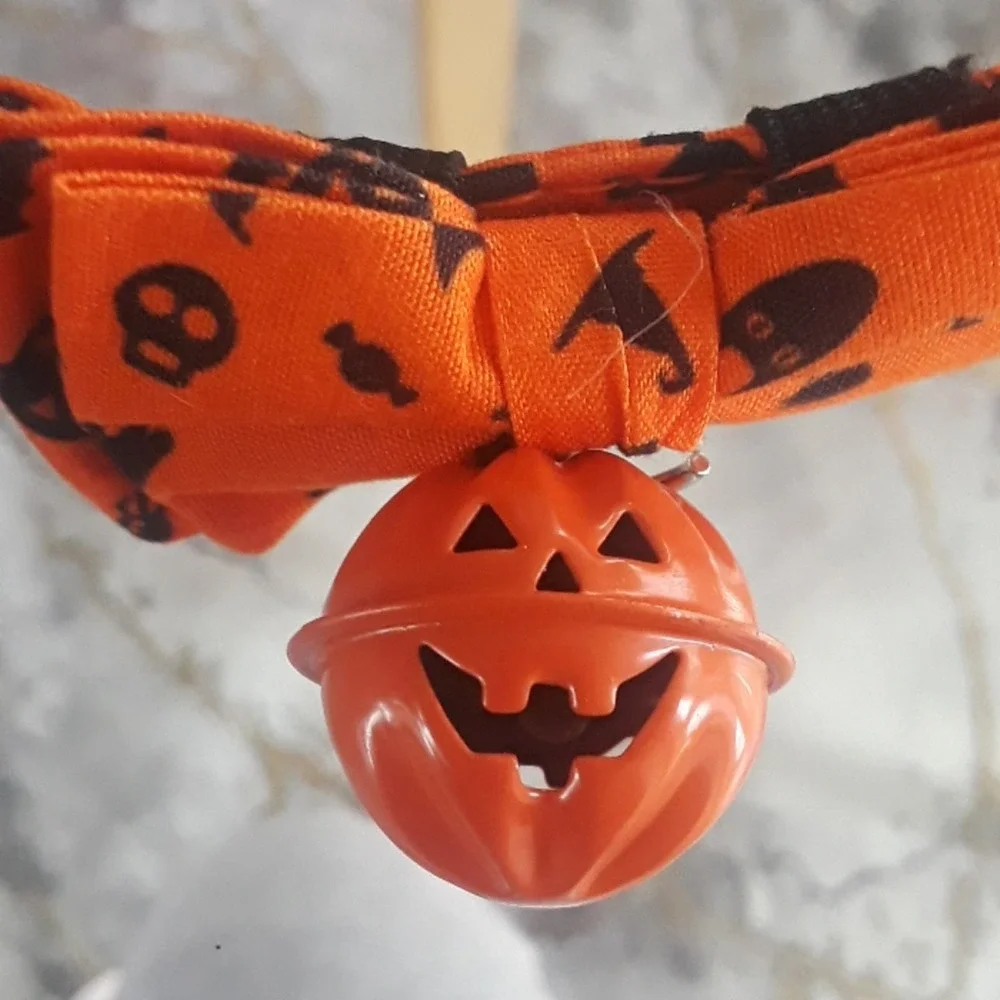 Halloween dog collar